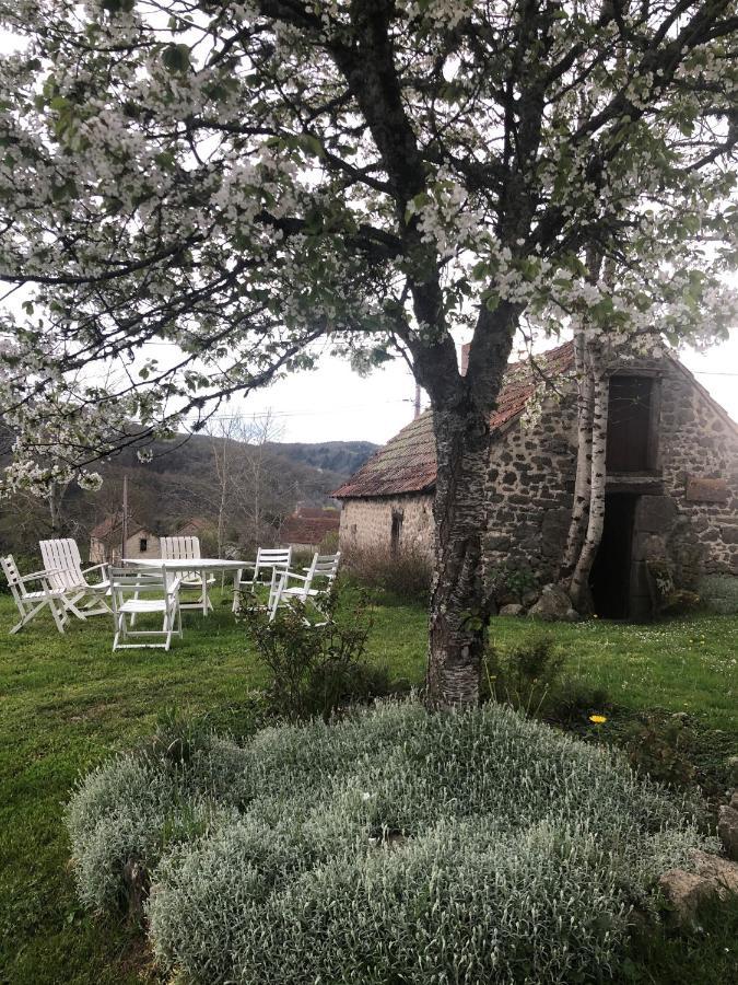 Maison D'Hotes Ourdeaux Et Gite Chez Rouchon Alleyrat  Экстерьер фото